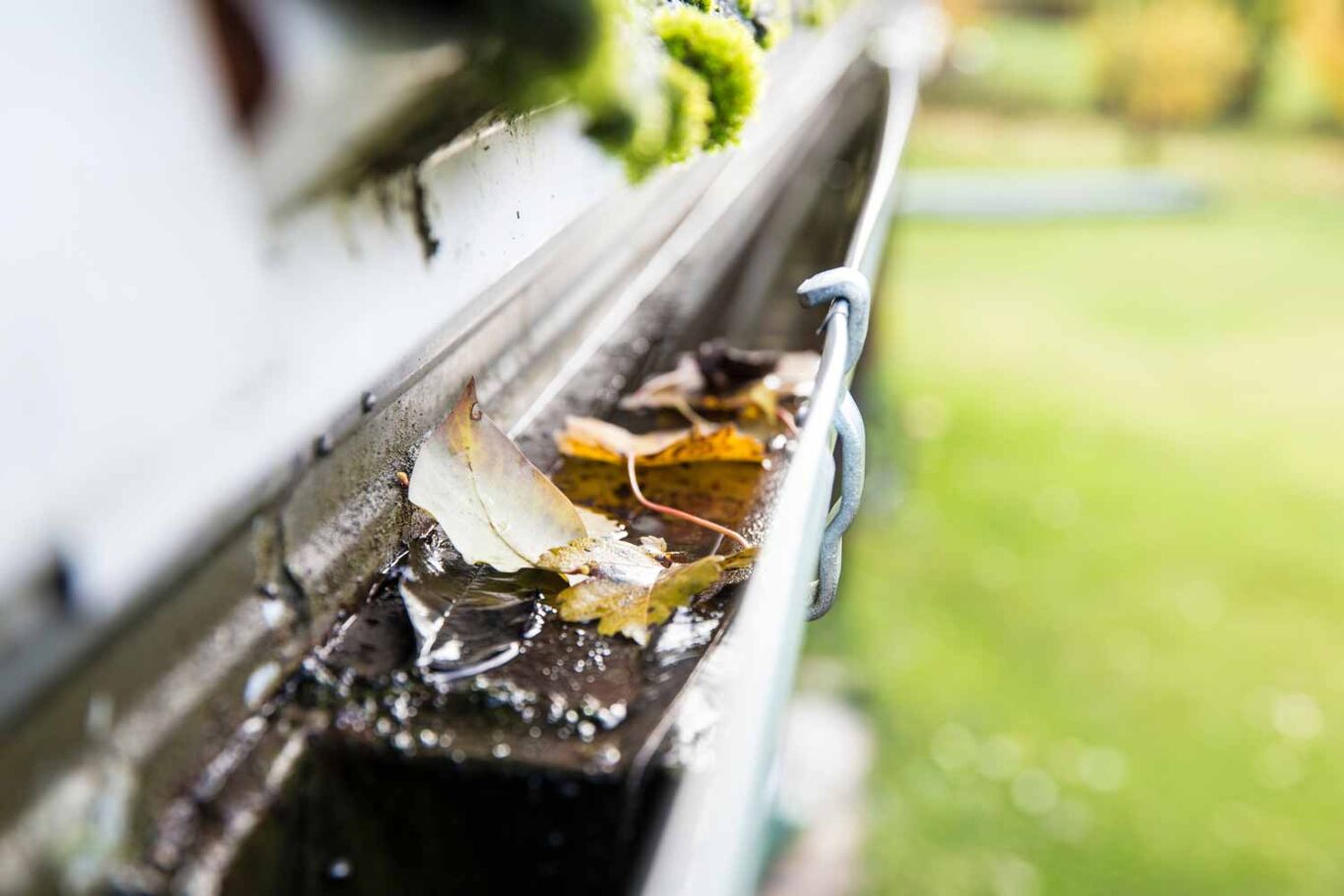 Clogged rainwater drainage system on private domestic house roof outdoors in autumn.